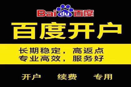 探索专业SEM托管的奥秘：从案例看效果